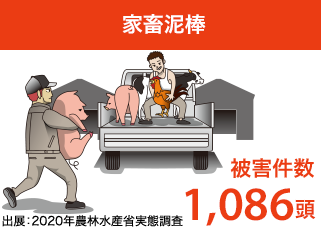 家畜泥棒